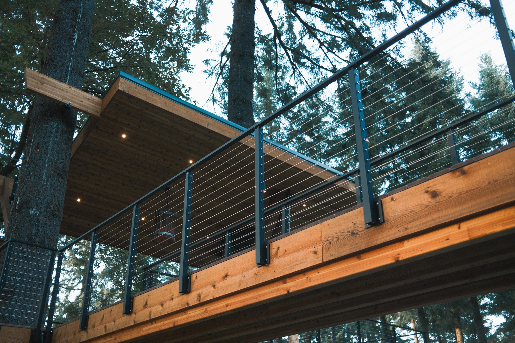 Looking up at a cable railing edging the deck of a treetop pavilion