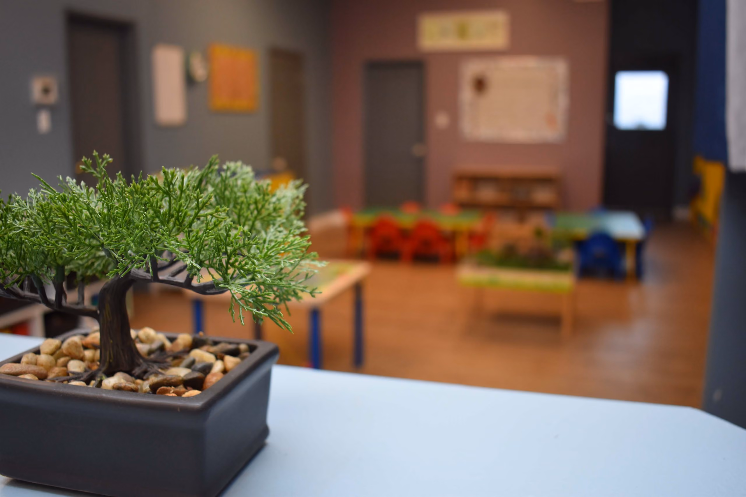 Nature inspired daycare. Small tree in daycare room.