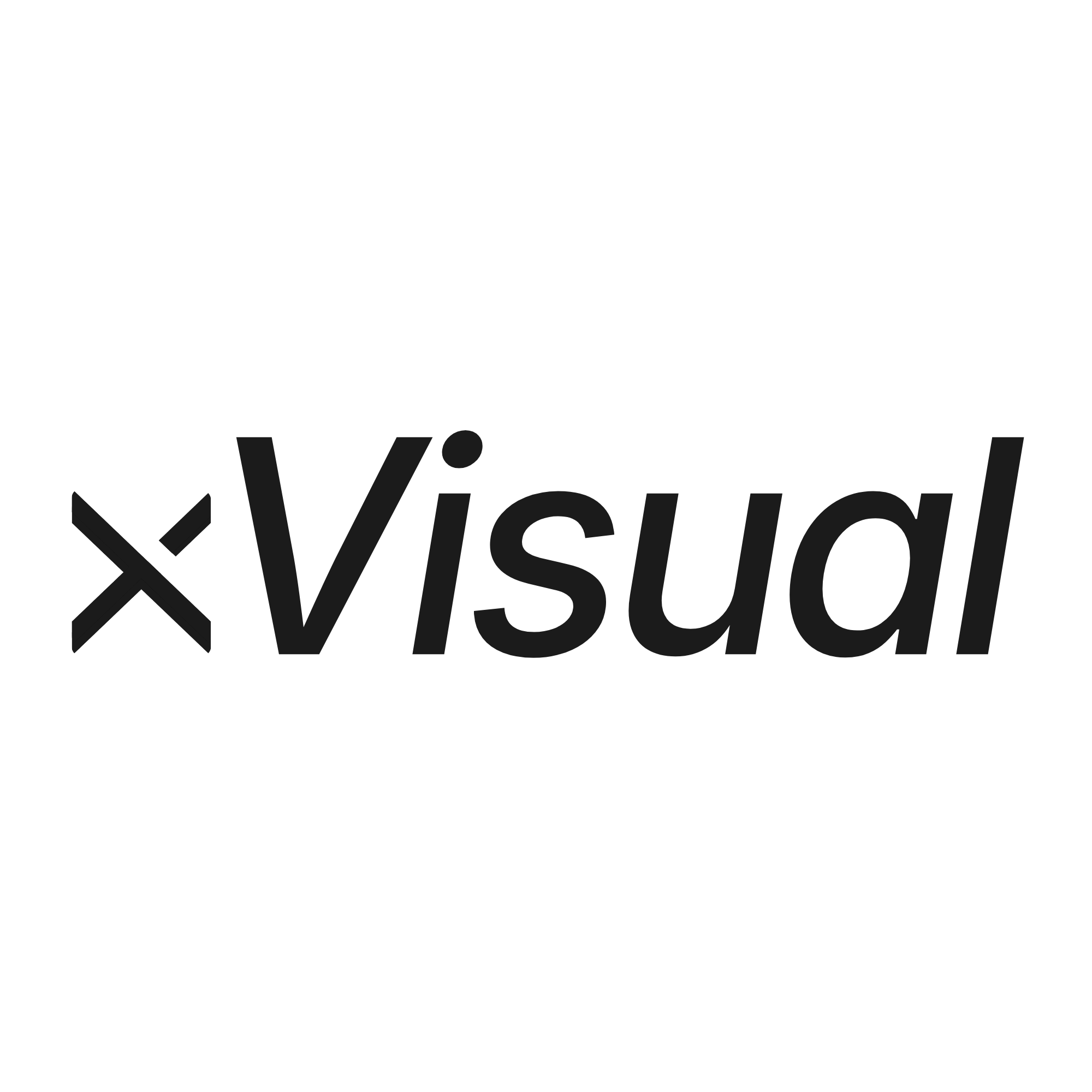 Black stylized X followed by the word Visual in italic font on transparent background.