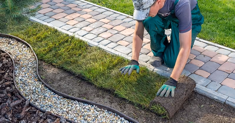 Landscaping