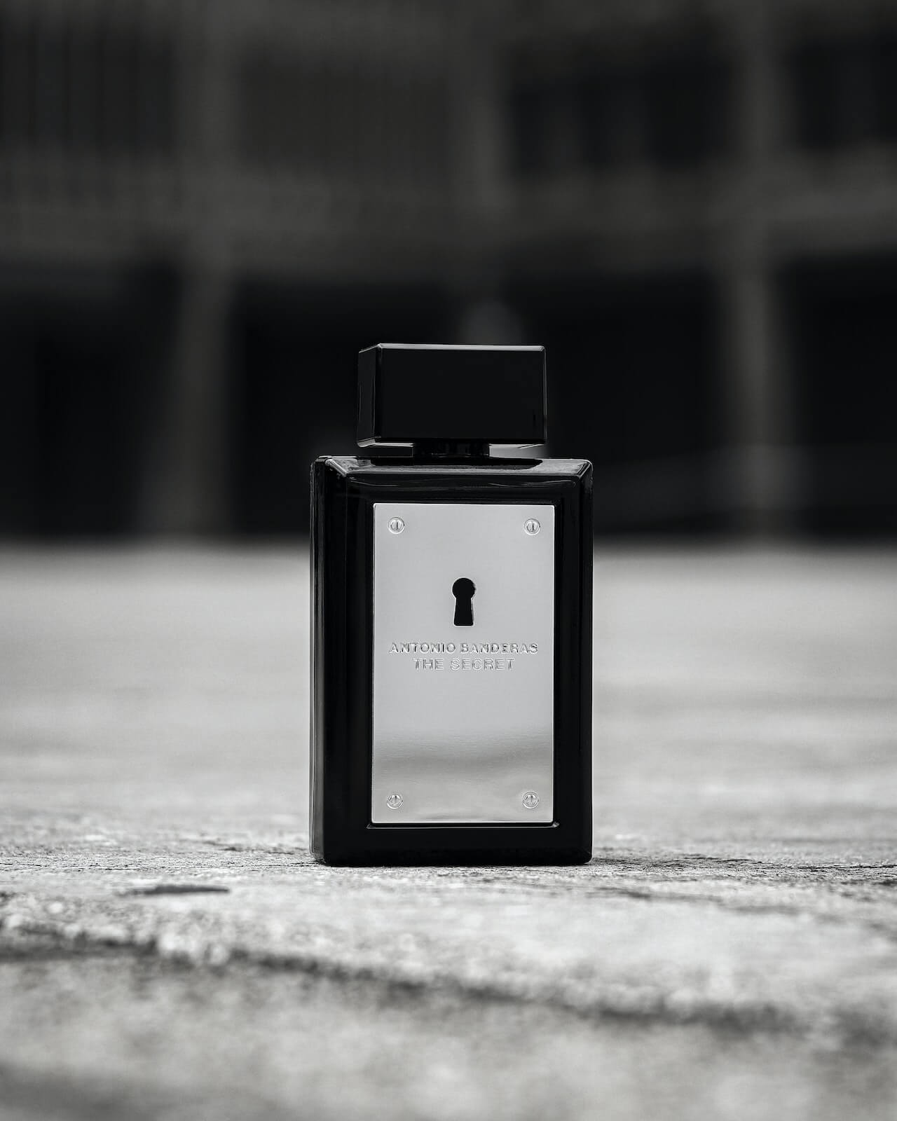 Cologne on the ground