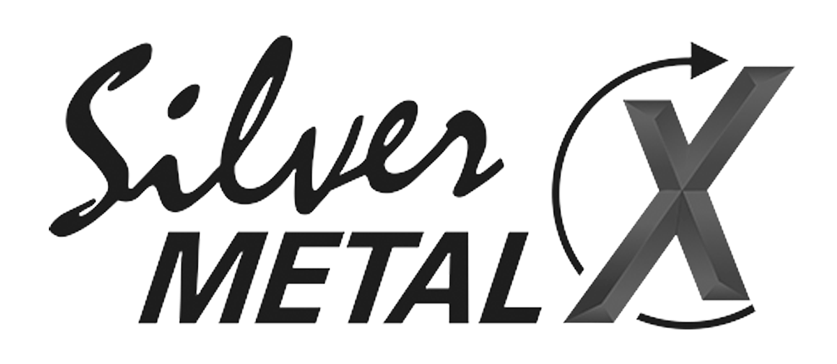 Silver MetalX