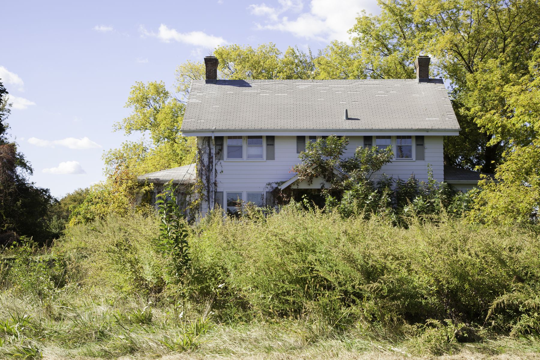 Two-storey house with an overgrown front yard