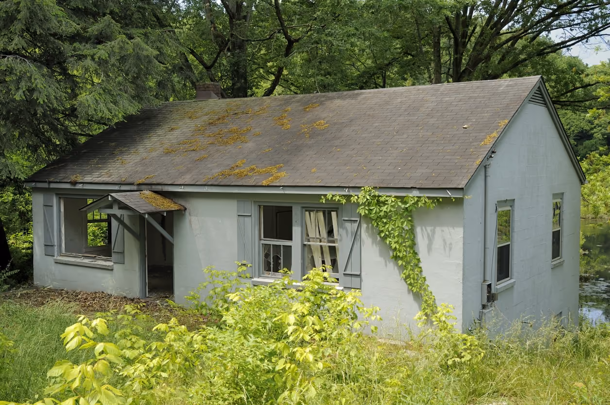 Vacant property sitting empty with overgrown yard