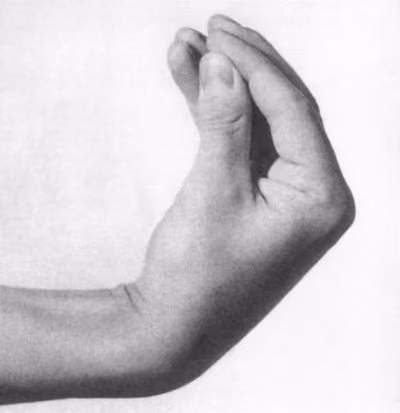Eine Hand mit Daumen und Fingern zusammengehalten, eine typische italienische Geste.