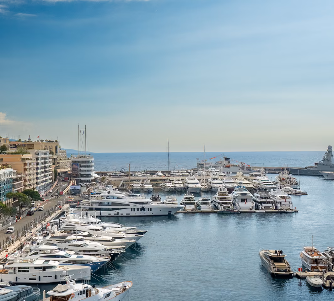 Aerial view of Monaco marina and coastline