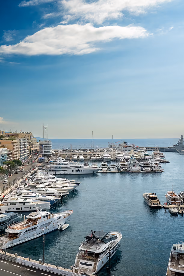 Aerial view of Monaco coastline and harbor