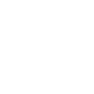 White globe icon with latitude and longitude lines on transparent background.
