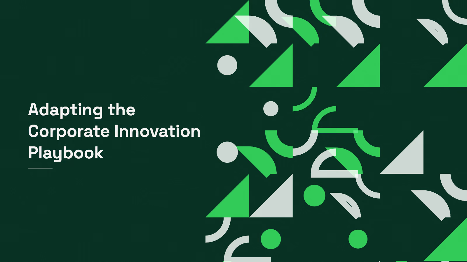Adapting the corporate innovation playbook