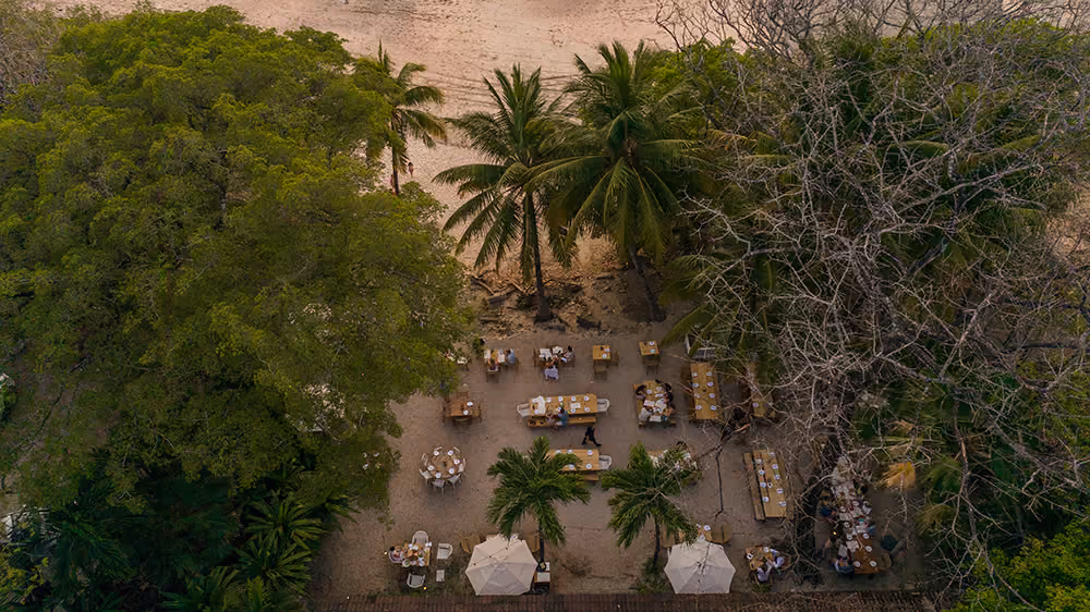 Private group dinner at the property