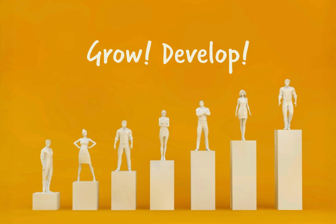 The Art of Starting Small: Why Internships and Entry-Level Jobs Are the Secret to Long-Term Career Wins