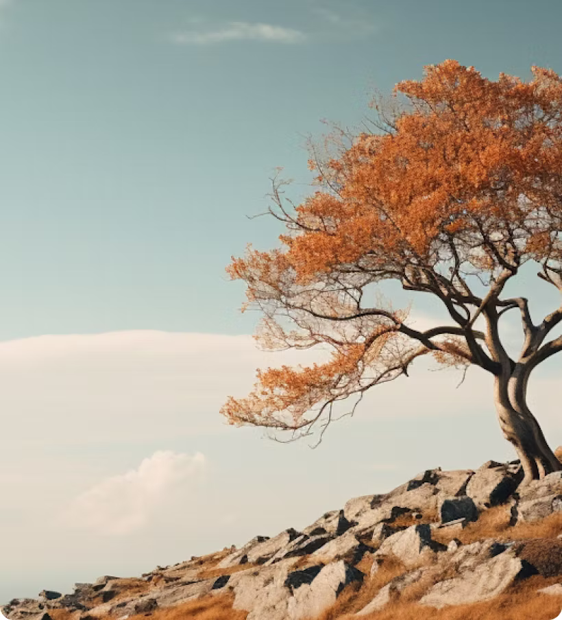 Tree with orange leaves on rocky hill under blue sky with scattered clouds.