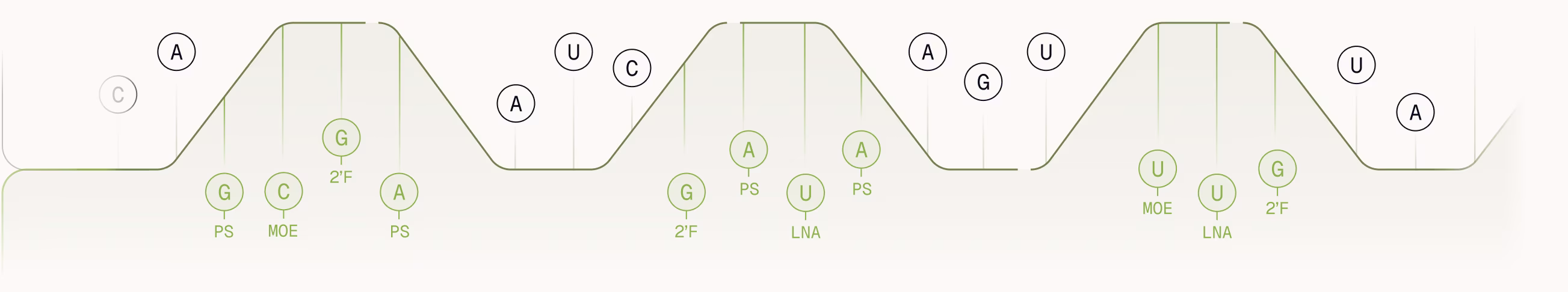 Illustration of mRNA and xRNA strands with nucleotide bases and chemical modifications labeled.