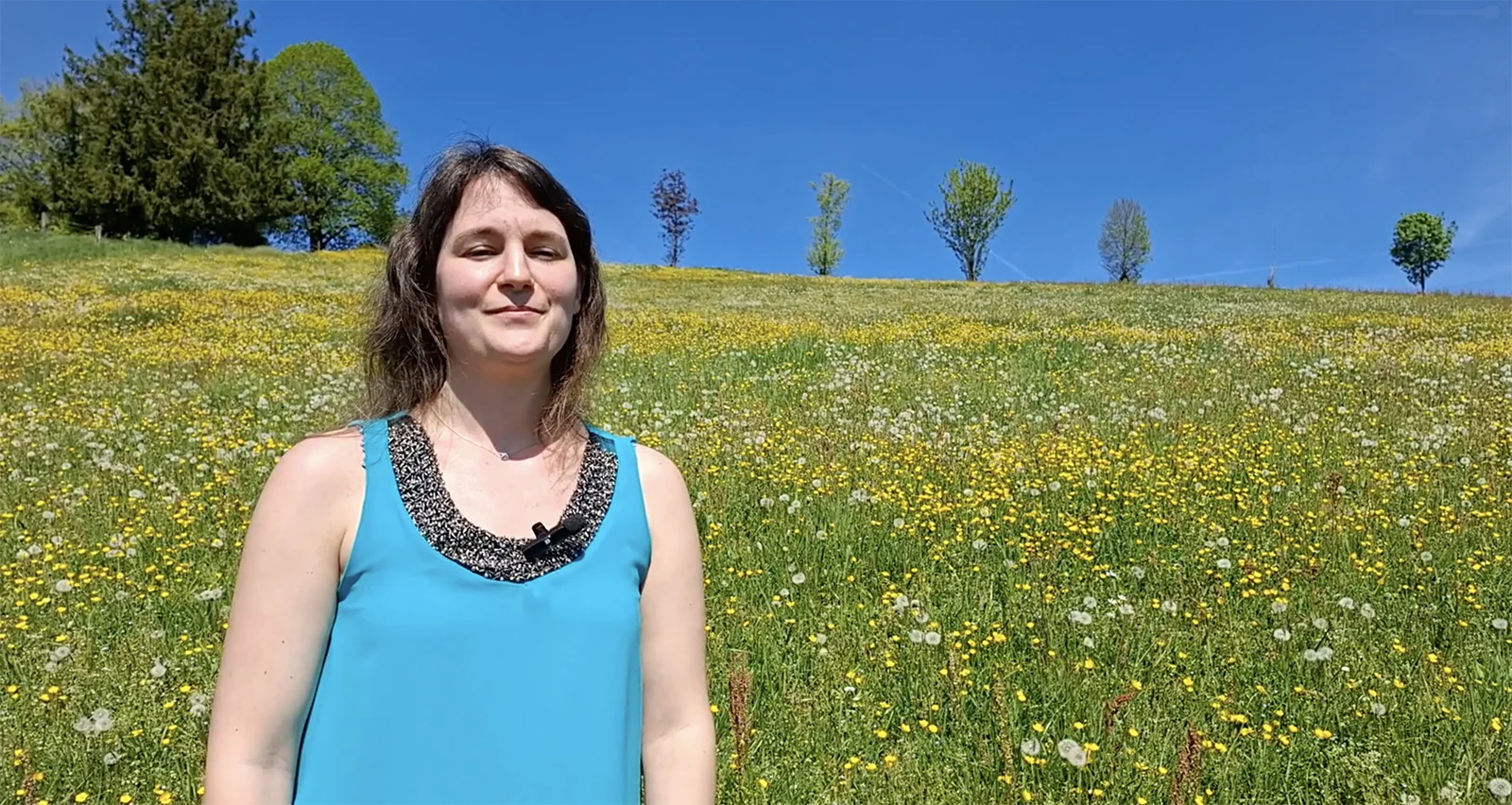 Vision «Zollisana»