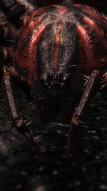 Spider-Noir × Maconga, visual 1