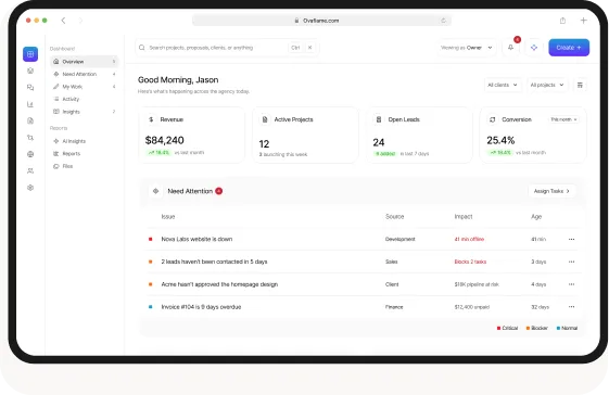 Dashboard interface showing revenue, active projects, open leads, conversion, and issues needing attention.