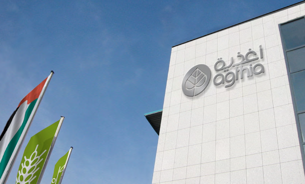 Environmental Branding Agency Dubai | Workplace Experience Design