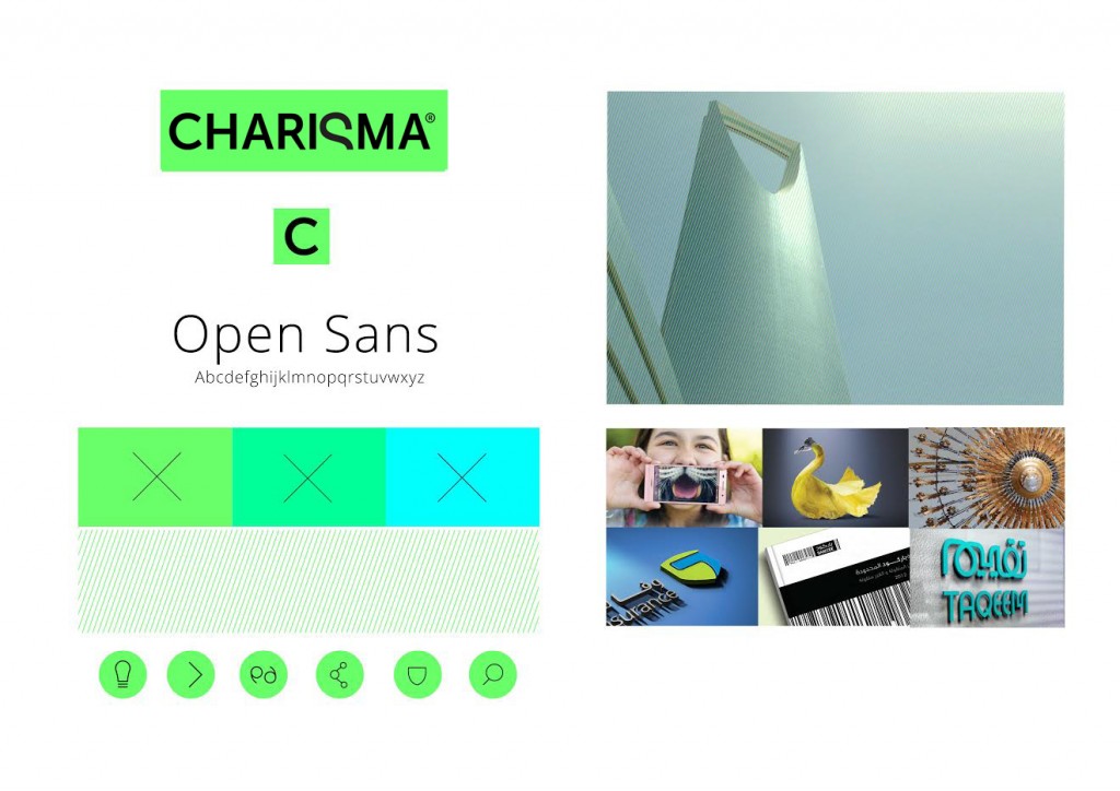 The Charisma identity shown with its green palette, Open Sans typeface and icon set | Reputation Brand Strategy, Charisma