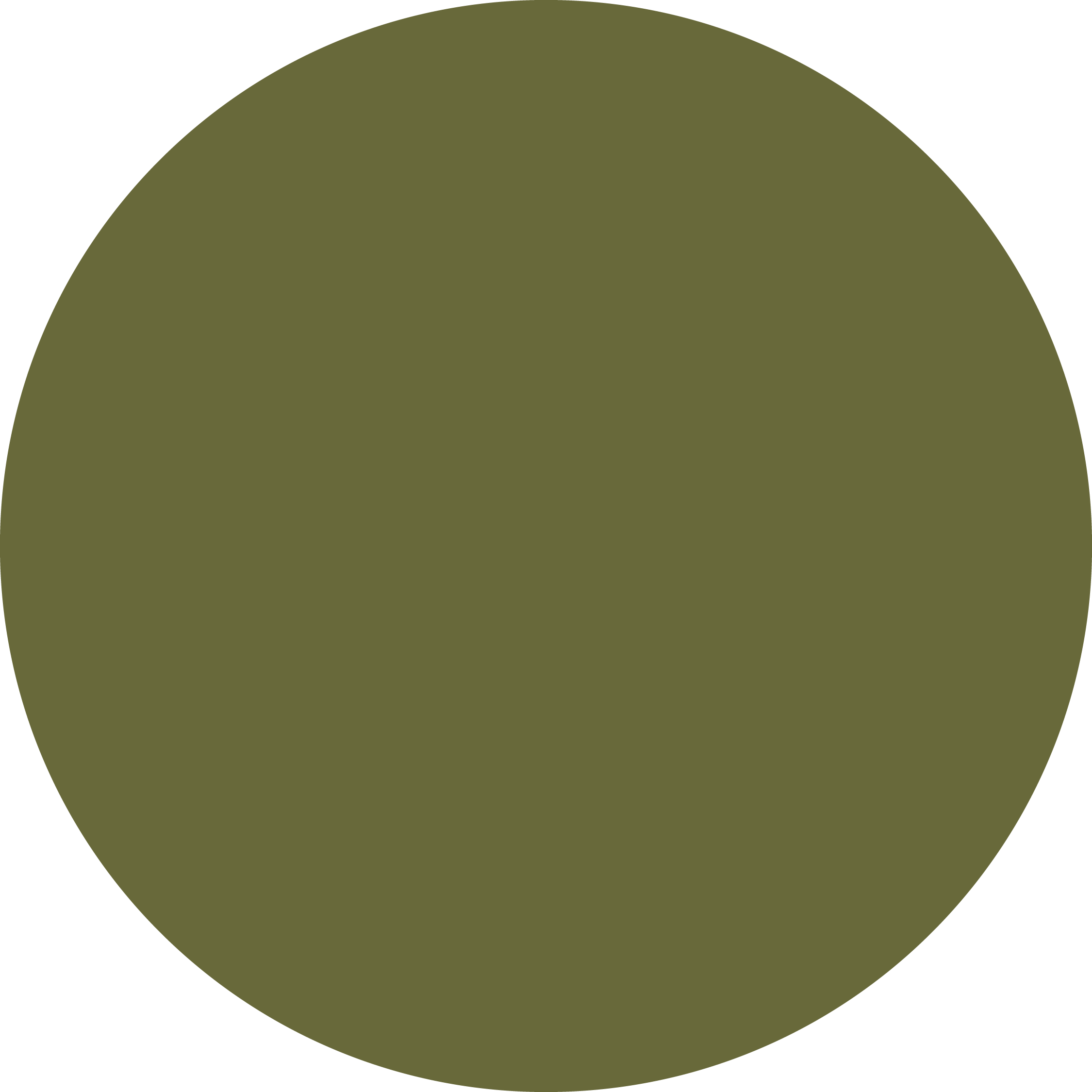 A circle shape in olive green color.