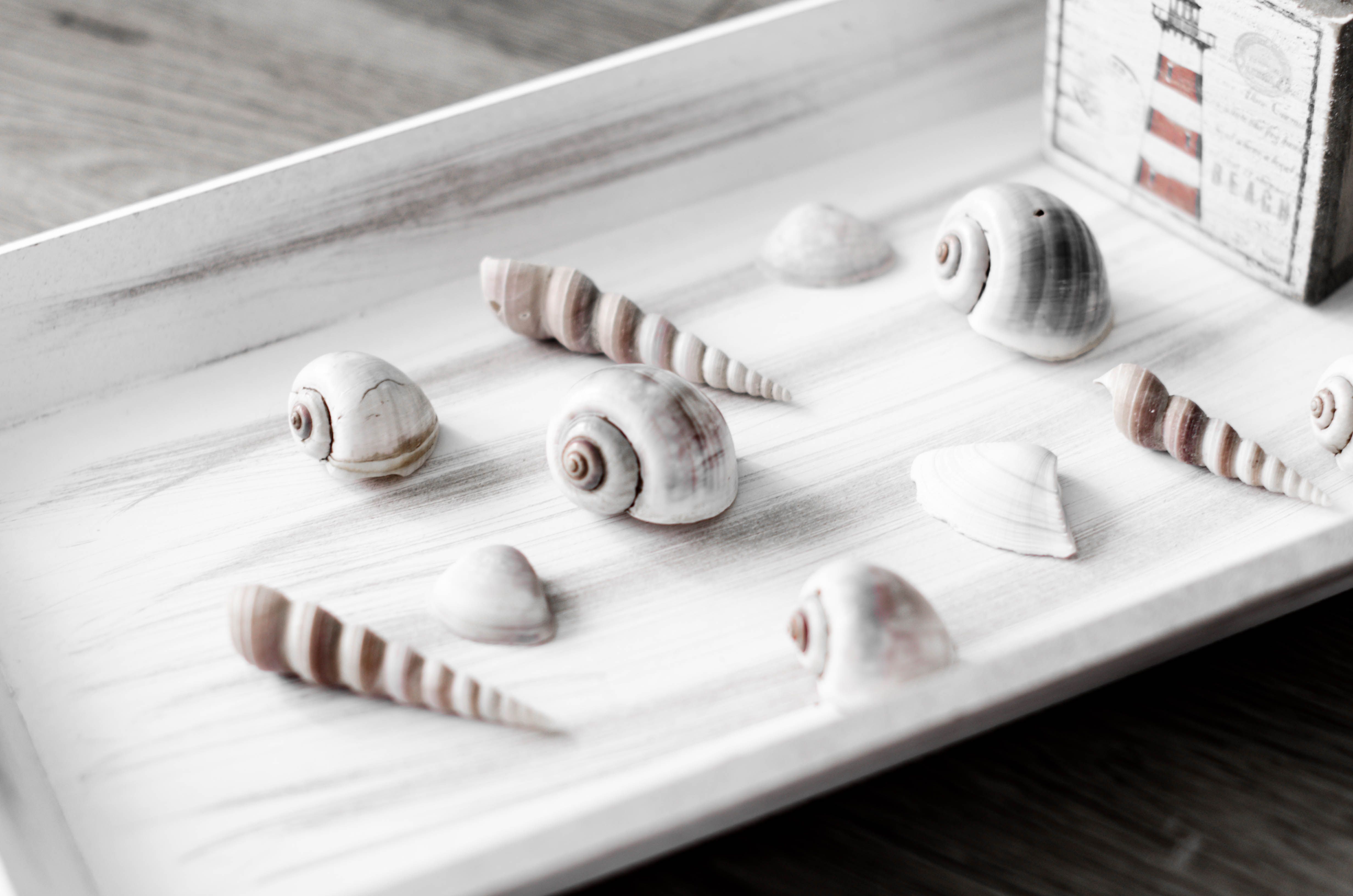 Preview of the upcoming Coastal Character interior design project