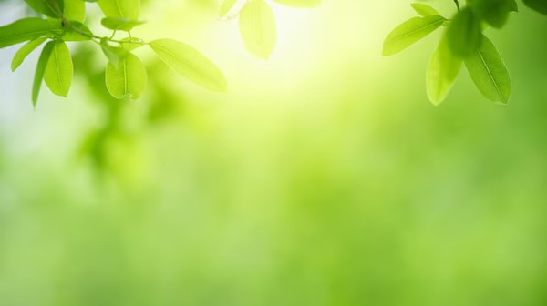 KnowBe4 & SoSafe Alternatives: DACH Vendor Guide