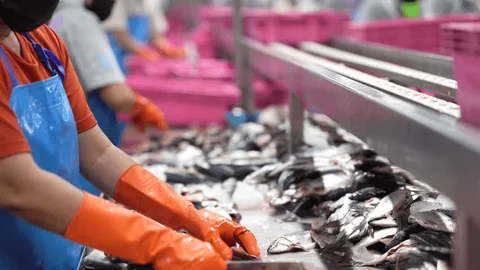 Seafood Suppliers