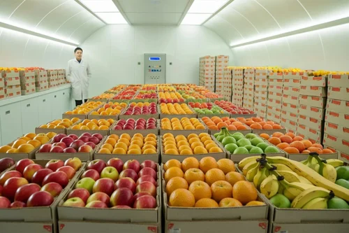 Fresh Produce & Exporters
