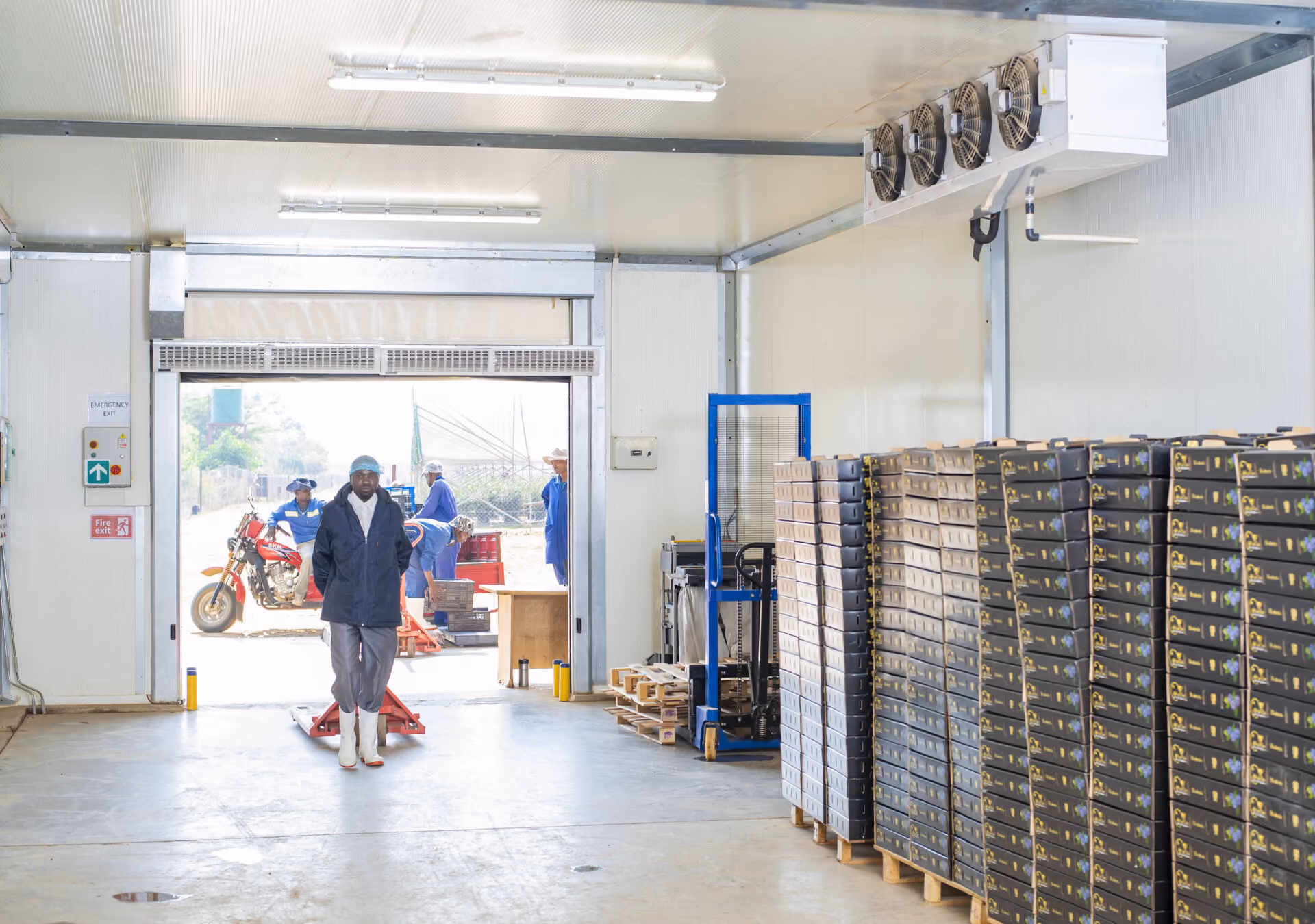 Training in cold storage warehouse
