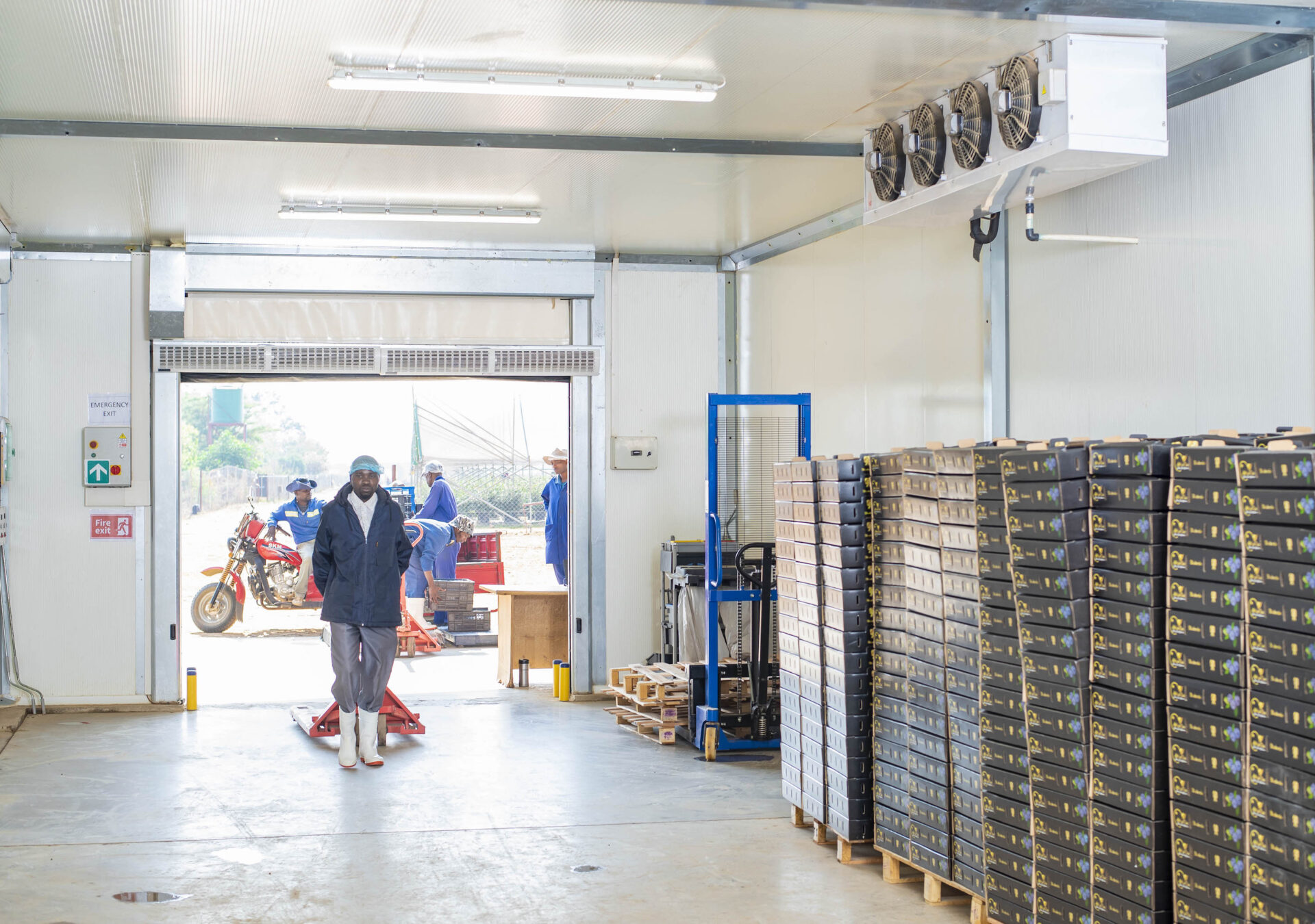 Training in cold storage warehouse