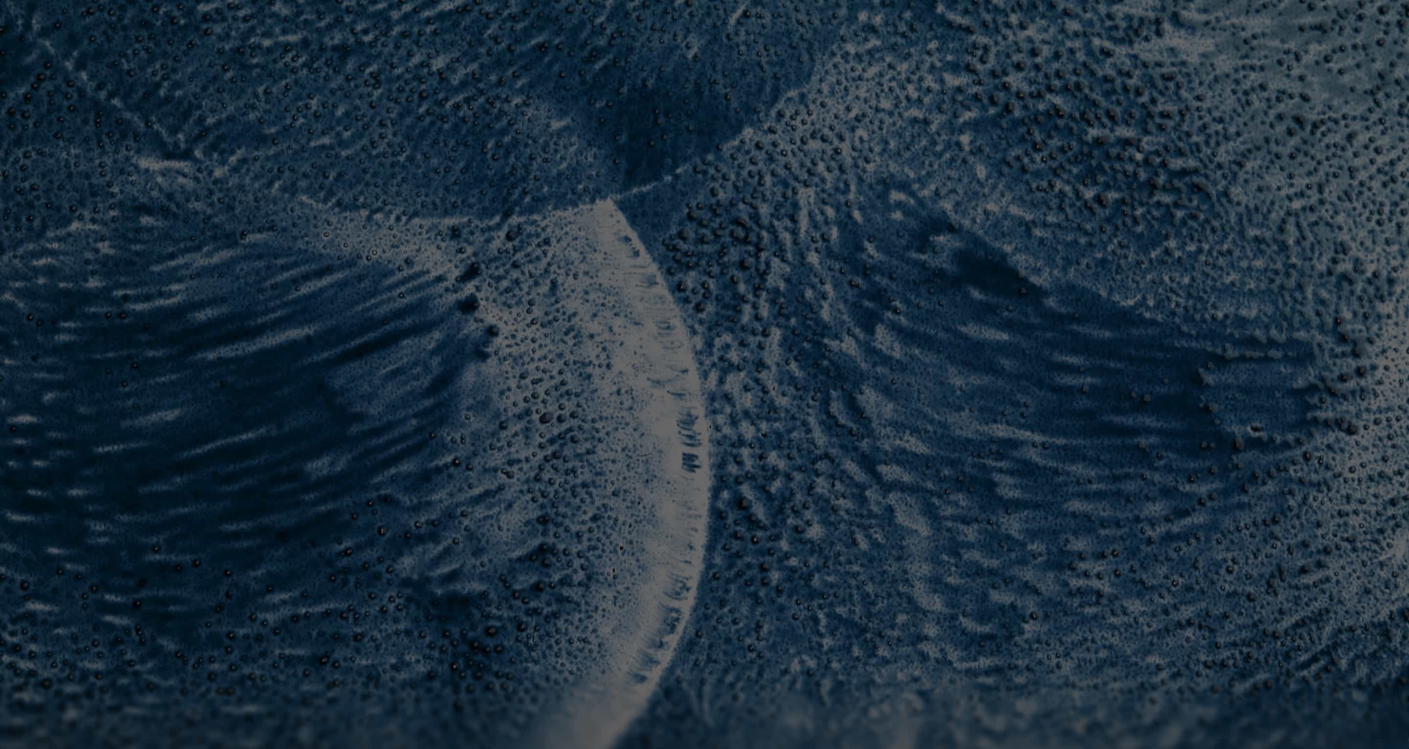 Embrión visto al microscopio en tonos azules