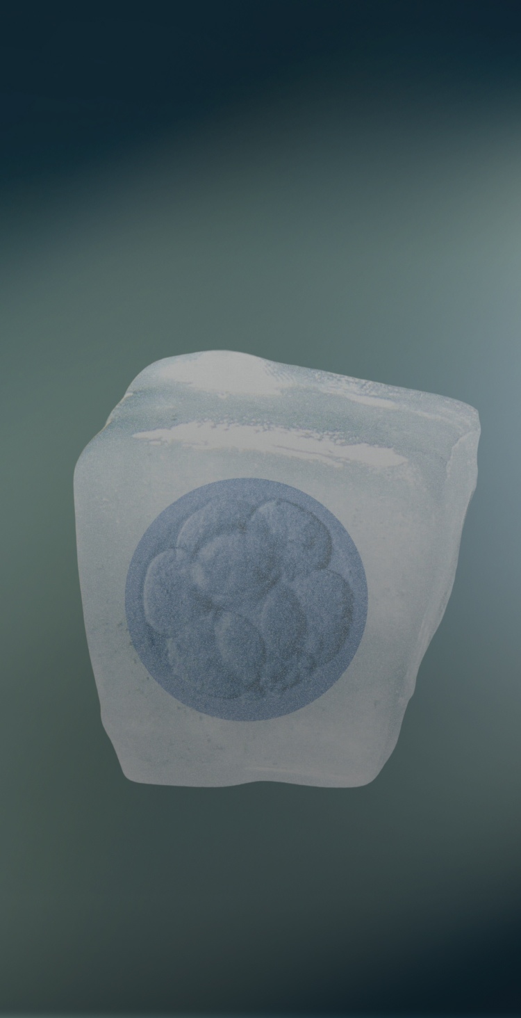 Óvulo vitrificado representado en un cubo de hielo
