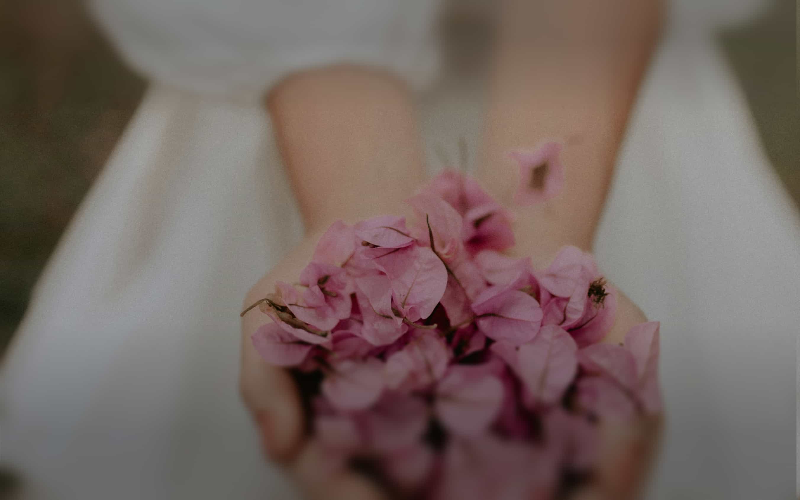 Manos sosteniendo flores rosas