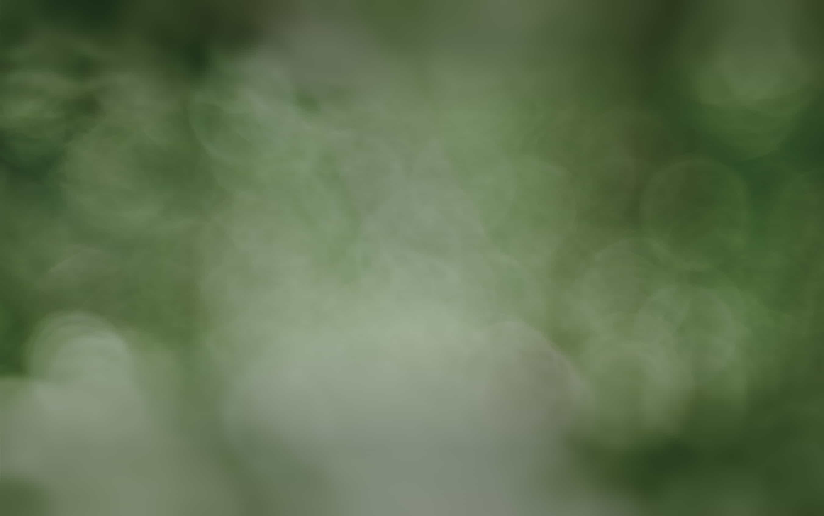 Fondo abstracto en tonos verdes