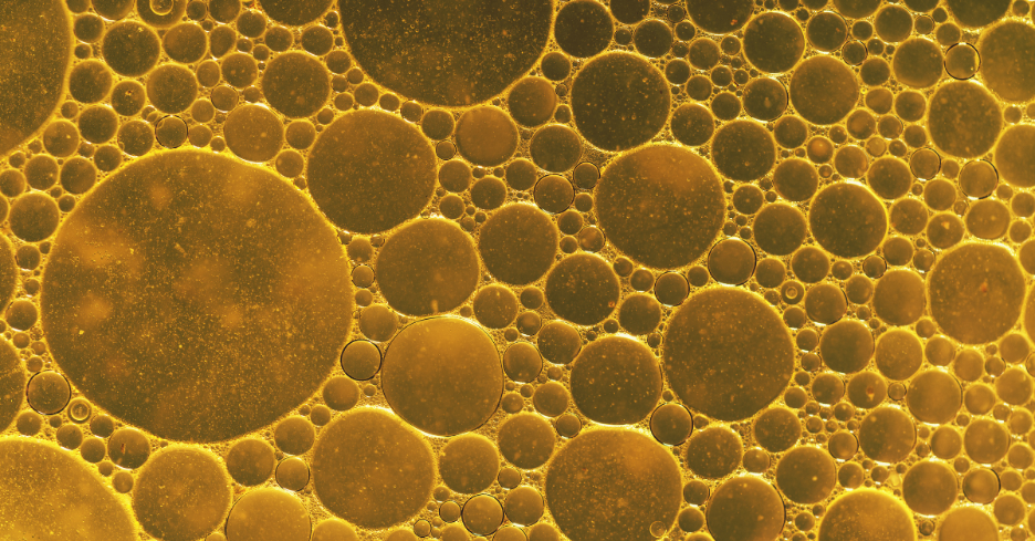 Various-sized glowing golden yellow bubbles clustered on a dark background.