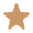bhageecha testimonial star icon
