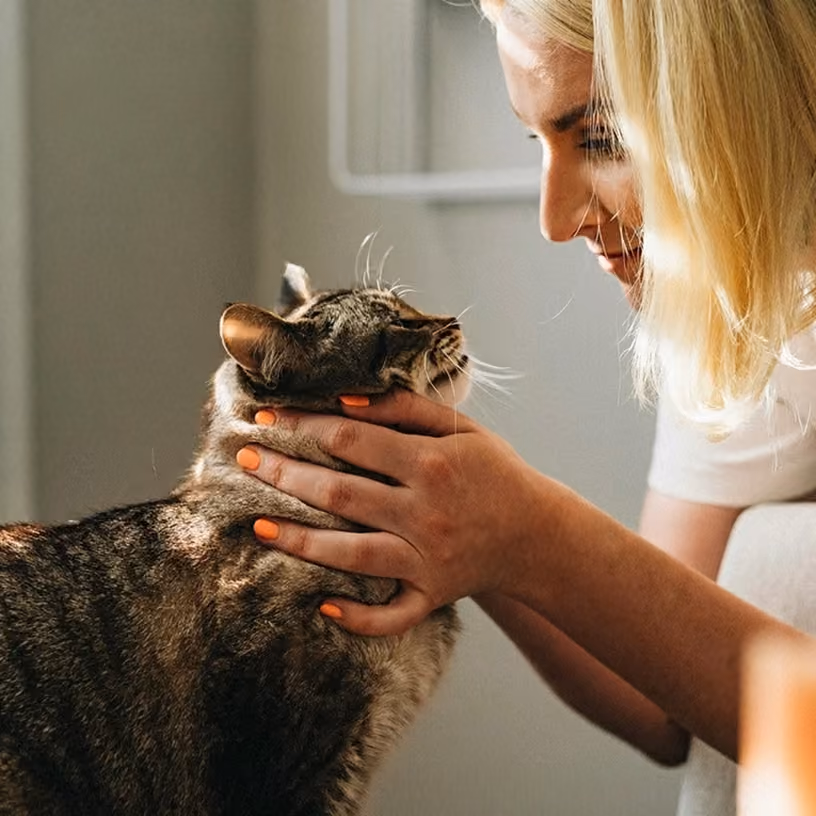 Blonde woman smiling and holding a tabby cat's face with both hands, close together indoors.