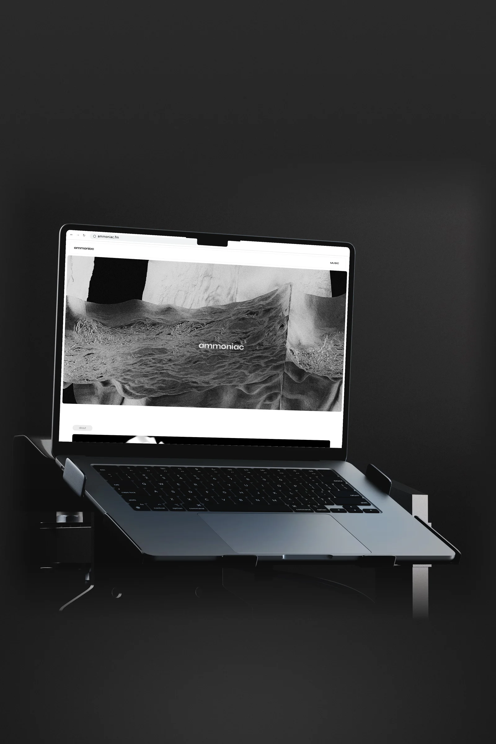 ammoniac Website Laptop Mockup – Haldelain Case Study