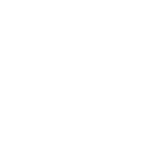 Logo Swiss Gym
