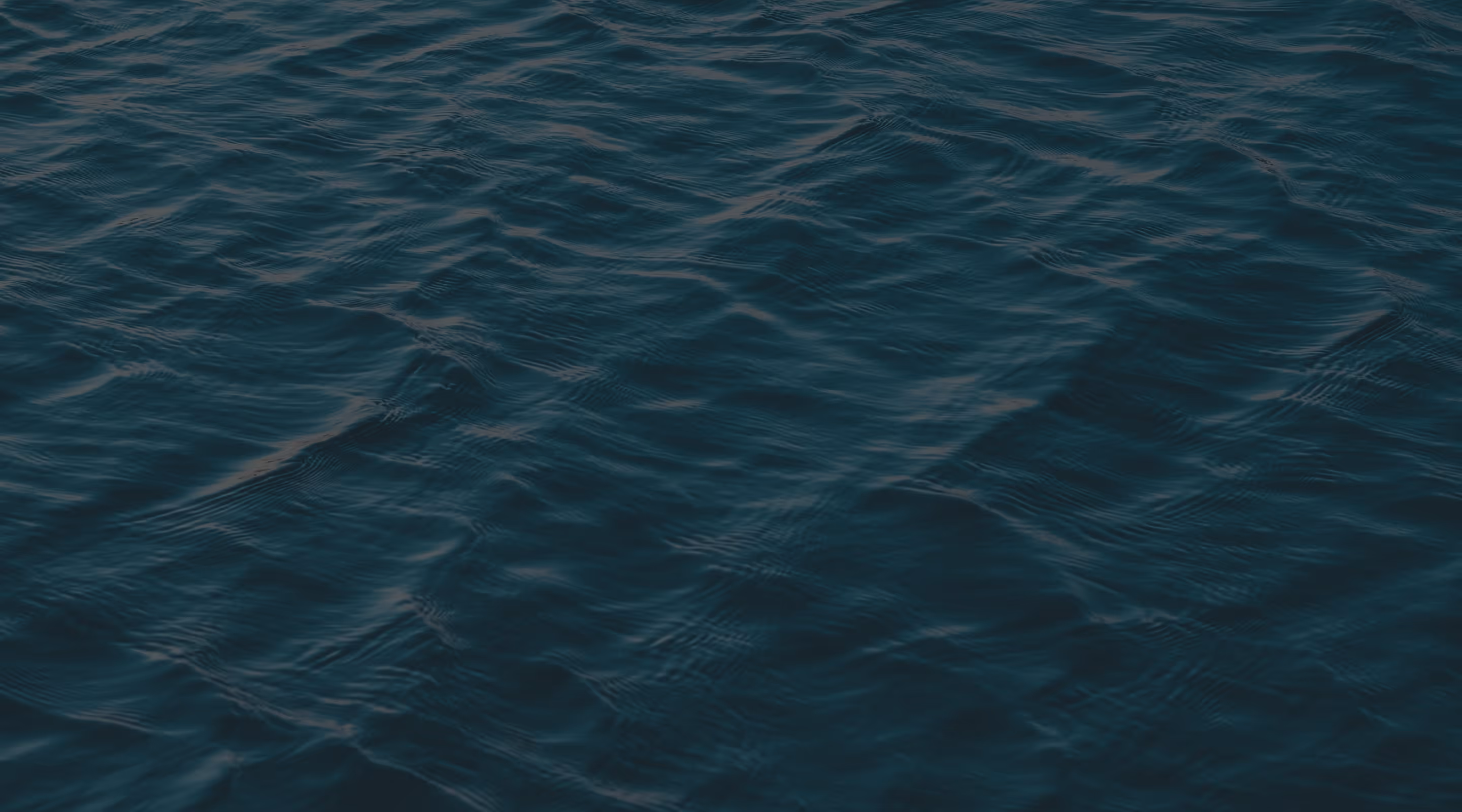Dark water surface with gentle ripples reflecting faint light.