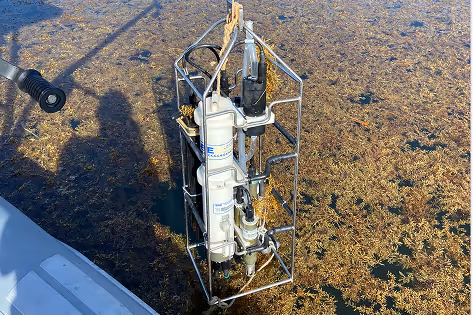 Scientific water sampling device suspended above water with brown seaweed below and boat edge on left.