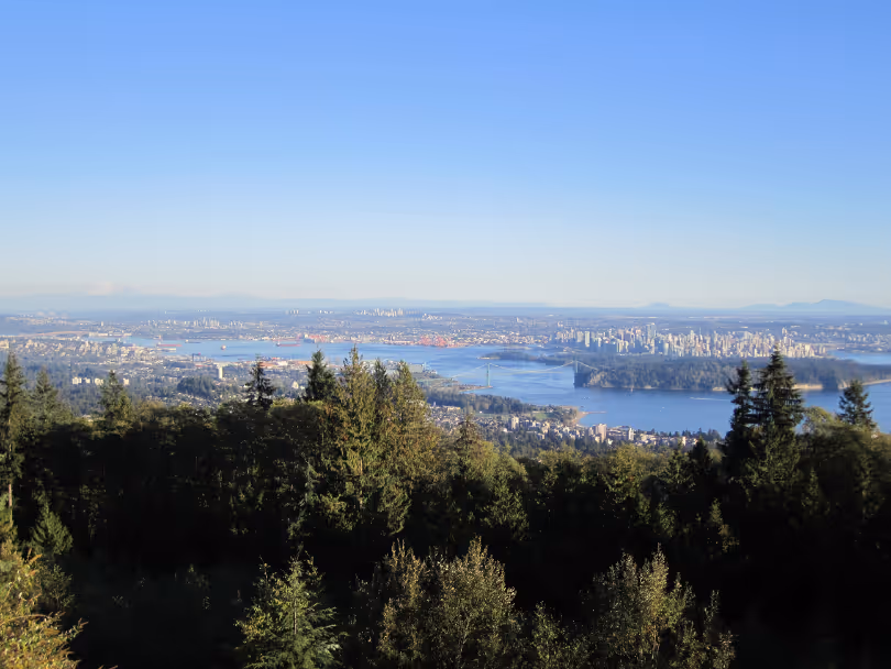 Panoramic city skyline across a river with dense forest in the foreground under a clear blue sky.
