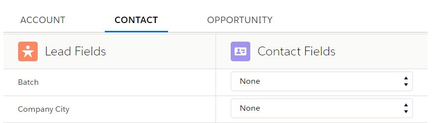 Lead and Contact fields in Salesforce NPSP