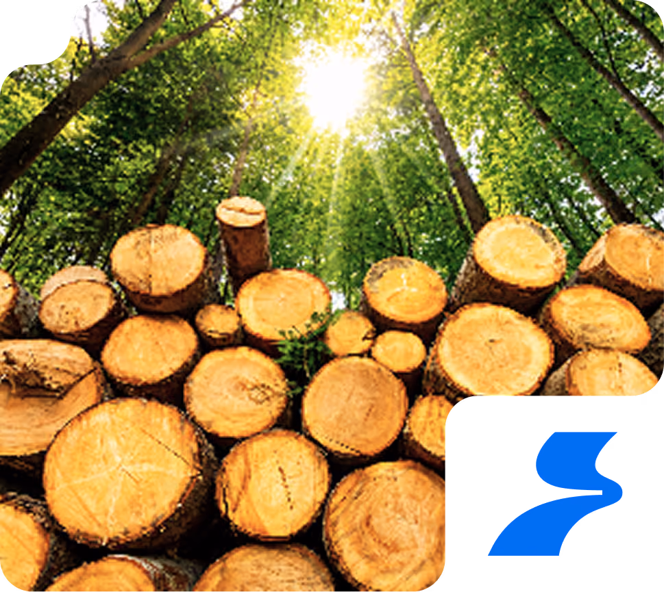 Wood
