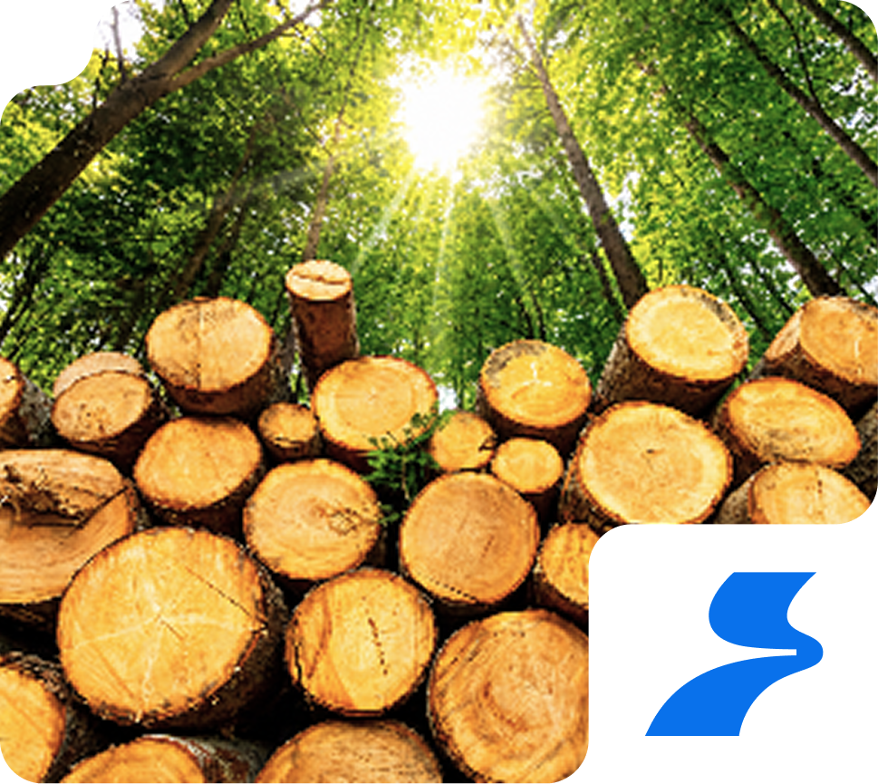 Wood