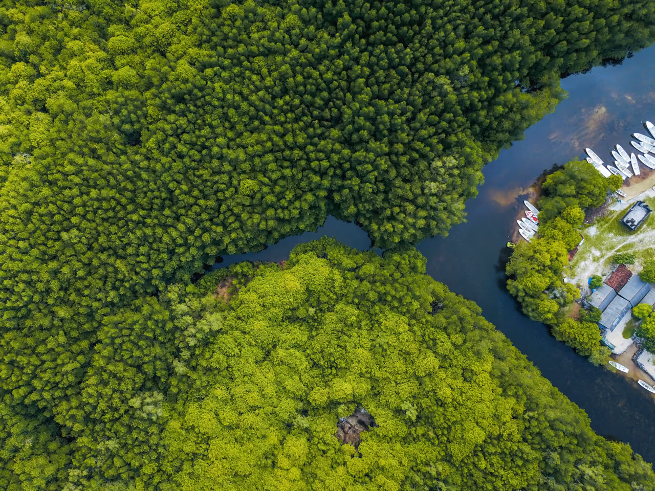 green space by a water inlet