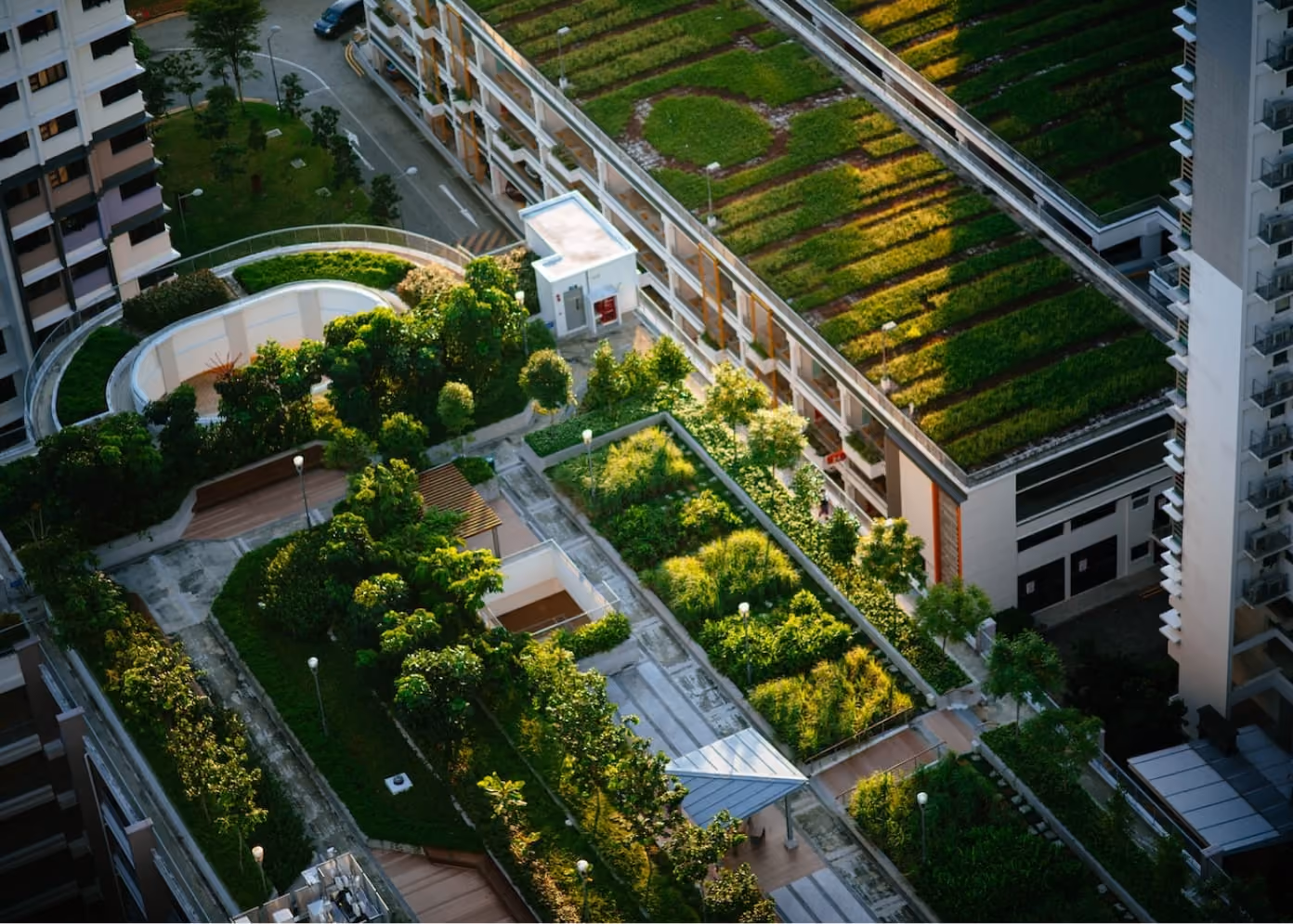 Illustration introducing environmental, social, and governance (ESG) principles