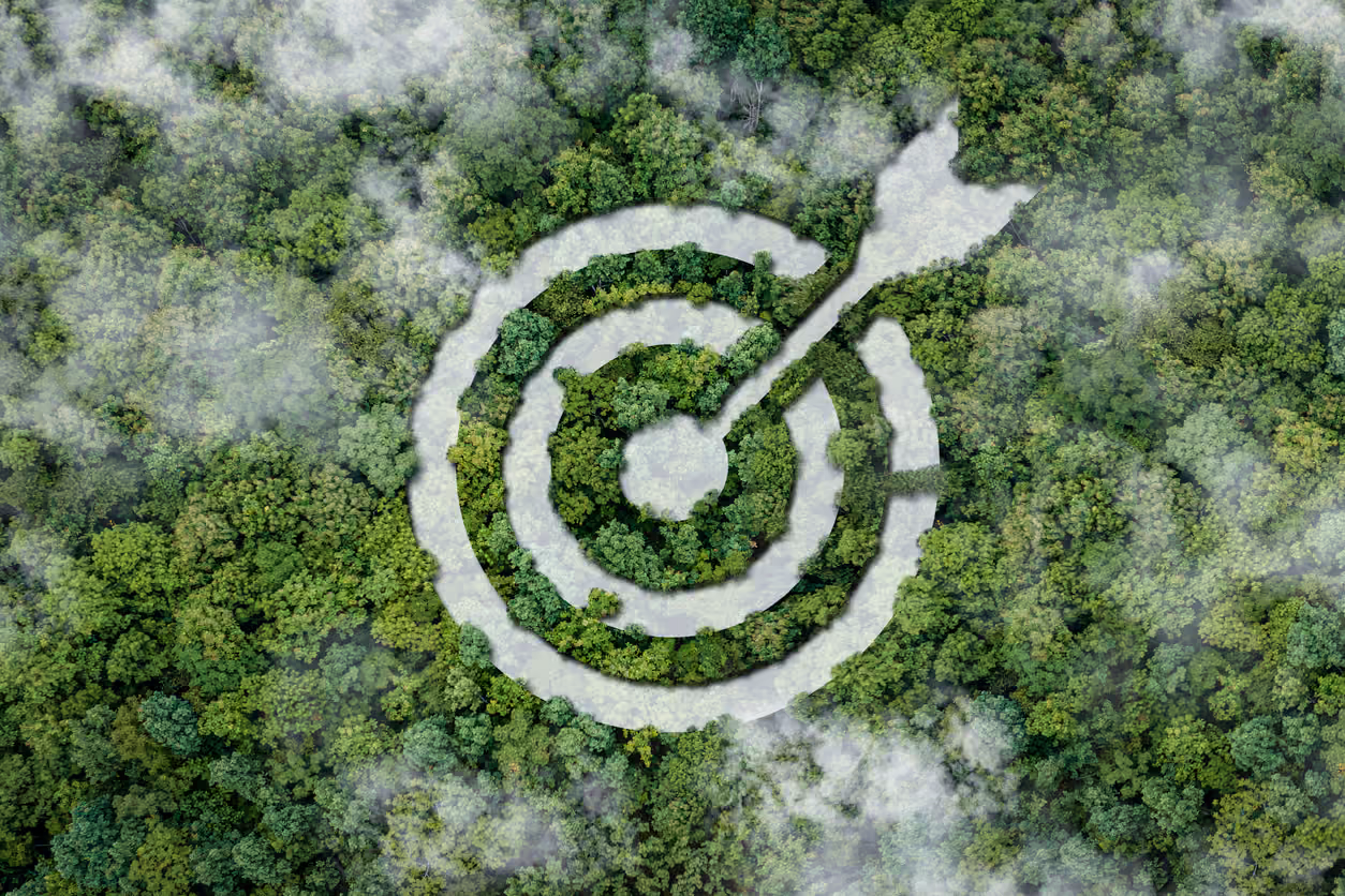 Aerial View of a Bullseye in a Green Forest