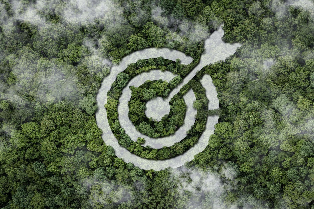 Aerial View of a Bullseye in a Green Forest