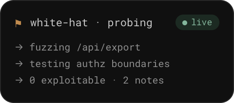 Agent continuously probing systems for vulnerabilities