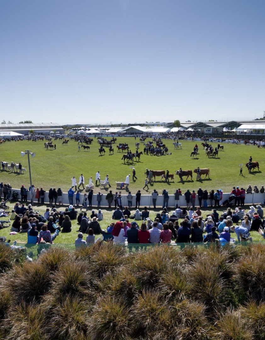 Agricultural shows